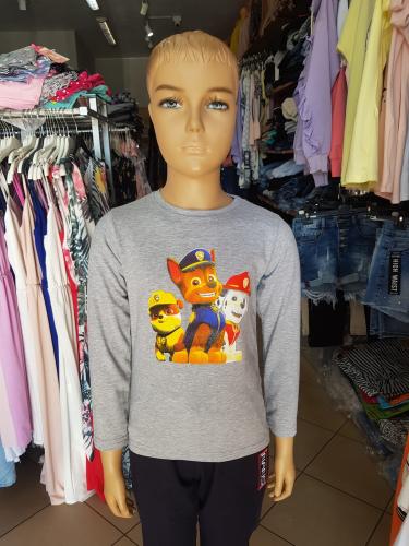 Bluzka dla chłopca szara z Psim Patrolem